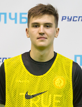 Дмитрий Николаев